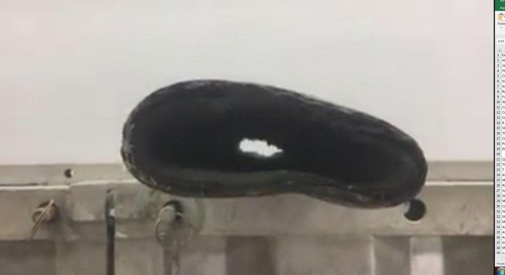 Blocked Sewer? Culprit: Non-Corrode Pipe